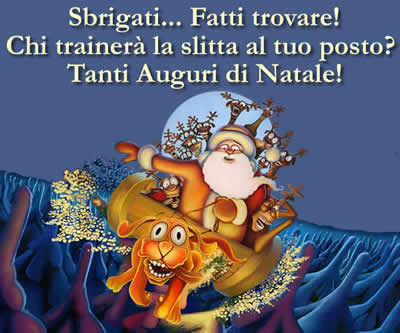 Auguri di Natale Simpatici